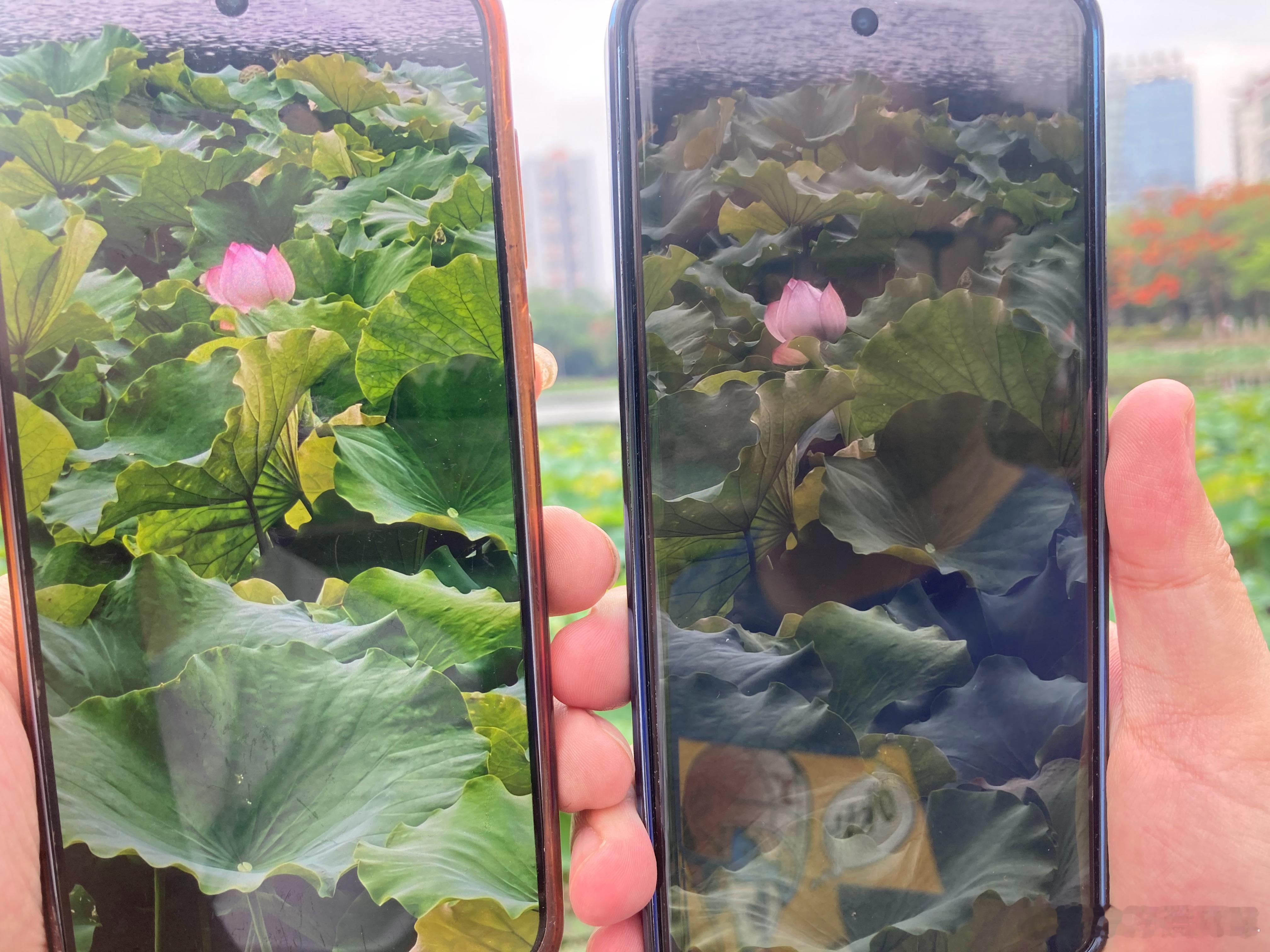 如果是你，你选择vivo还是OPPO？oppo超影像vivo荷花这是一条来自日