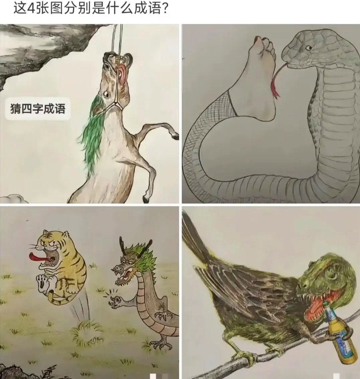 这4张图分别是什么成语？​​​