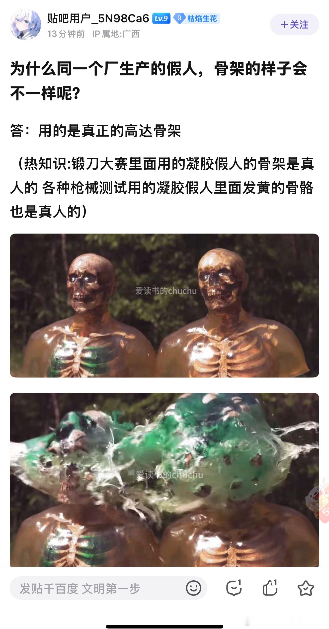 卧槽，锻刀大赛用的真人骨架