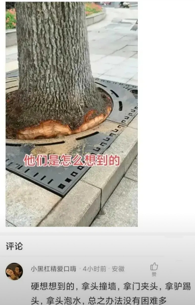 总之办法总比困难多