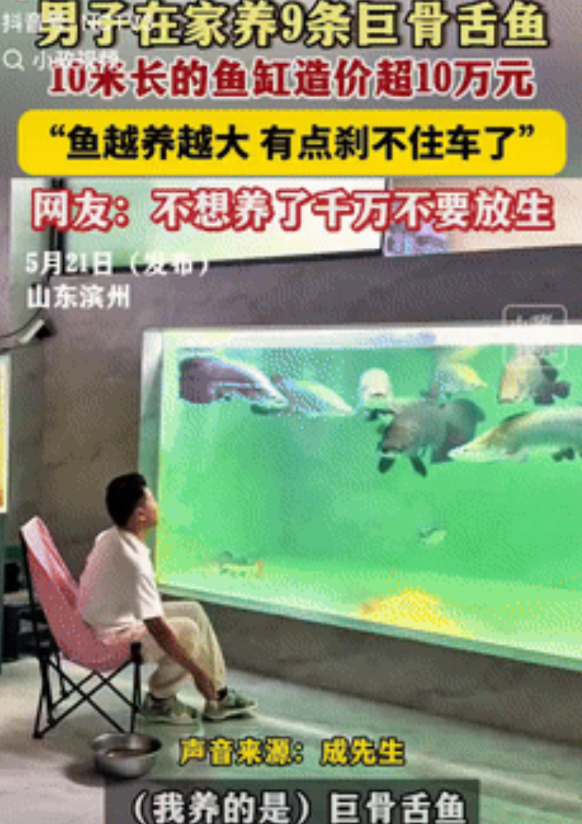 胆子忒大了！山东，一男子花了100000多块造了10米长5米宽的大鱼缸，又花了好