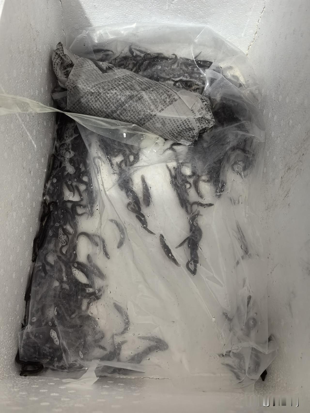 网上购物千万要谨慎，尤其是水产品，袋子都被割开了，连客服都不知道咋回事。就在