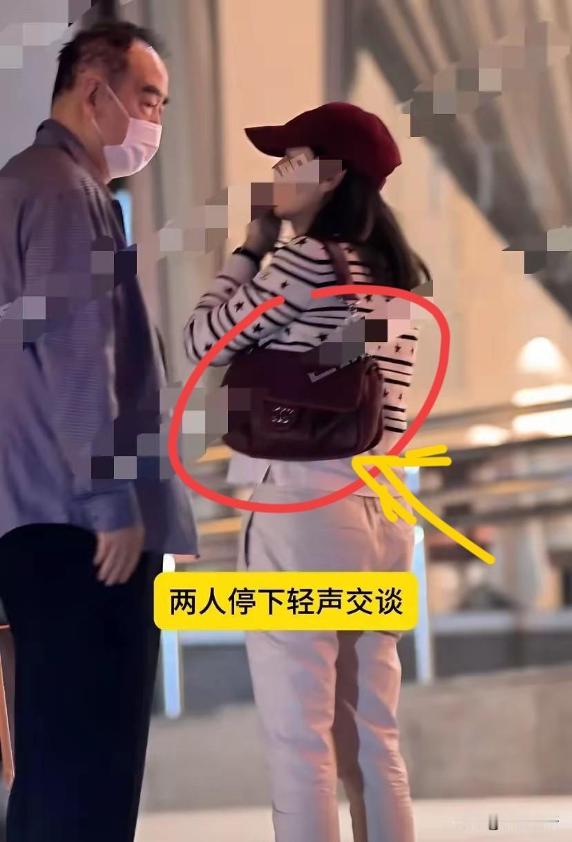 74岁的陈凯歌，带着老婆逛商场，背影佝偻、头发稀疏，老人味溢于言表，而陈红的包，