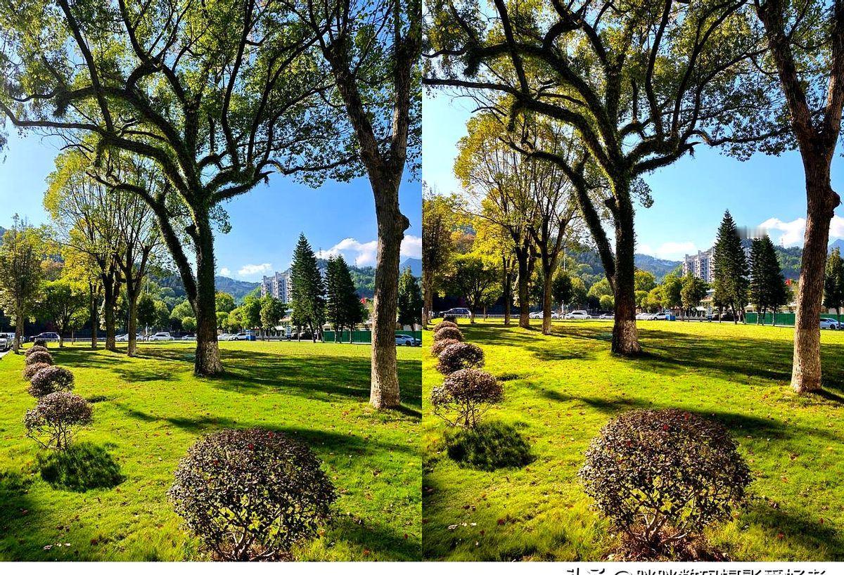 荣耀Magic8Pro和vivoX300Pro晴天拍照对比！非常漂亮的