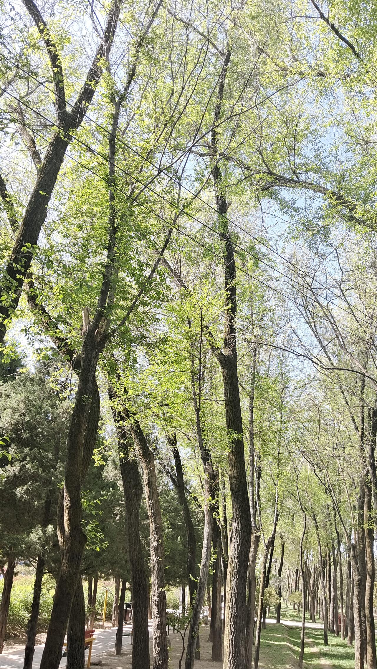 晒图笔记大赛周末别再躺平啦！南京就有不少骑行的天然氧吧。像玄武区的紫金山绿道，