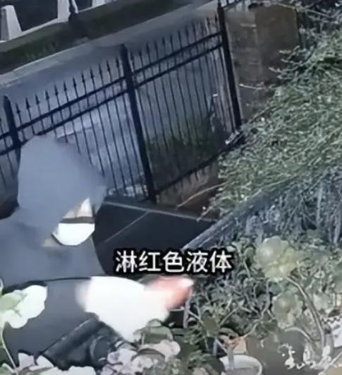 “太瘆人了！”辽宁大连，一81岁独居老太，早晨醒来发现2楼阳台全是血，墙头有颗羊