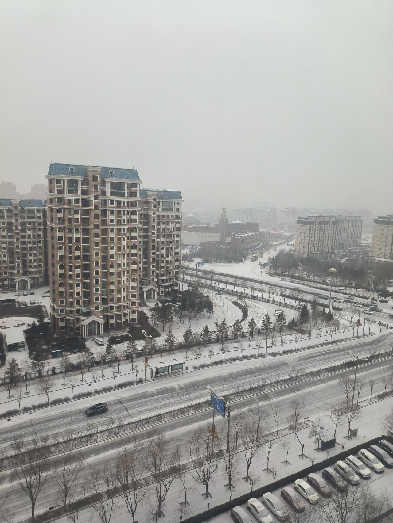 大雪时令刚过，大雪就真的来了。昨天预报有雪，没想到早上刚刚睁开眼，就是一个洁白的