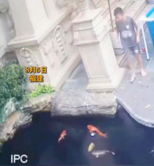 平日里相伴相依的狗狗突然不见，心里记挂着爱犬的小男孩，独自出门四处寻找。可当他快