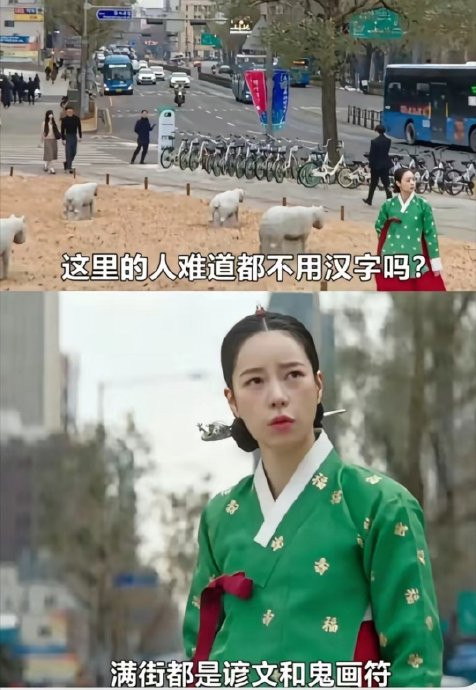 🔻韩国人能不知道吗？🔻其实它们知道，只是装睡。热点现场海外新鲜事​​​​