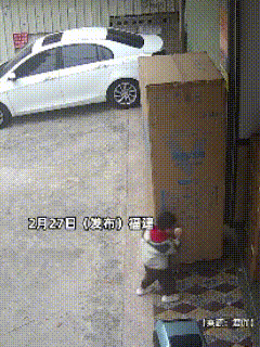 “这不得揍一顿！”福建厦门，家长转身进屋倒一杯水，就几十秒时间，再出来一看，当场