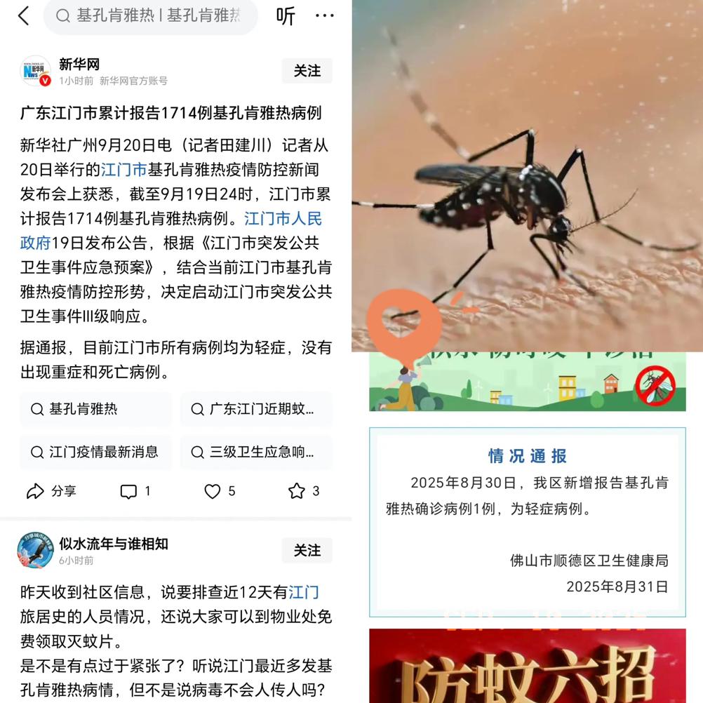 刚刷到新闻，顺德隔壁的江门，基孔肯雅热病病例竟然已经累计1714例了！好在顺德自