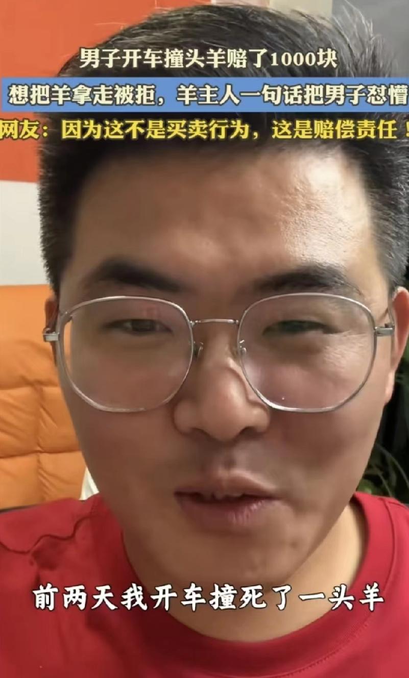 撞了羊赔了钱，车主说羊归我，牧民拦着不给。这事最近在好几个地方都发生了，不是