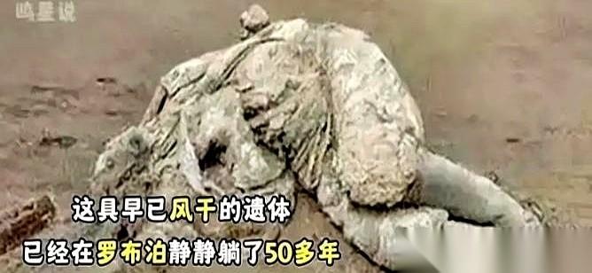 一具干尸,在罗布泊躺了半个多世纪。一开始,所有人都以为,这又是个倒霉的探险家。