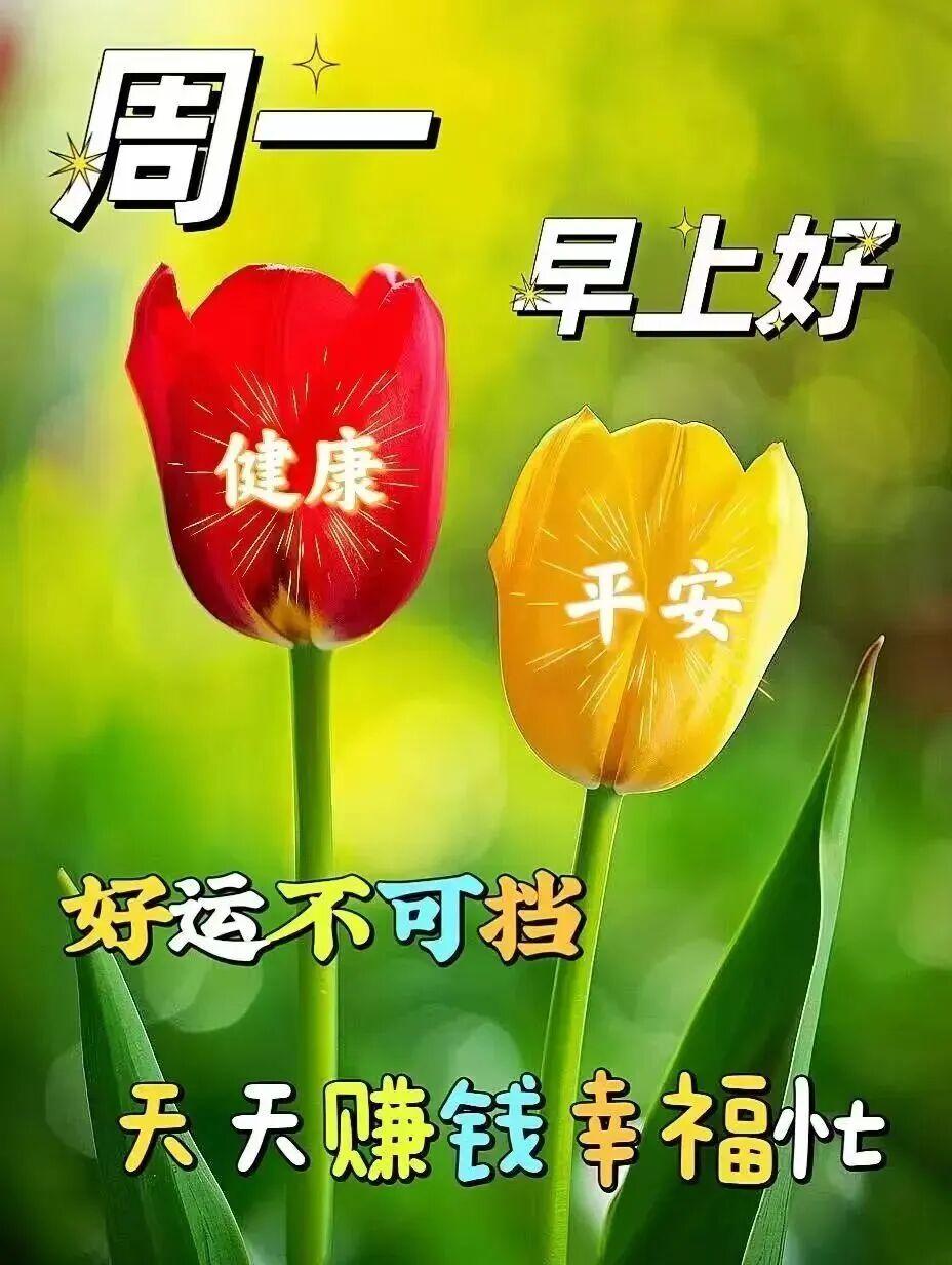 心怀阳光，所见皆是好风景；常保笑意，日日自有小欢喜；为人和善，知己好友常相伴；懂