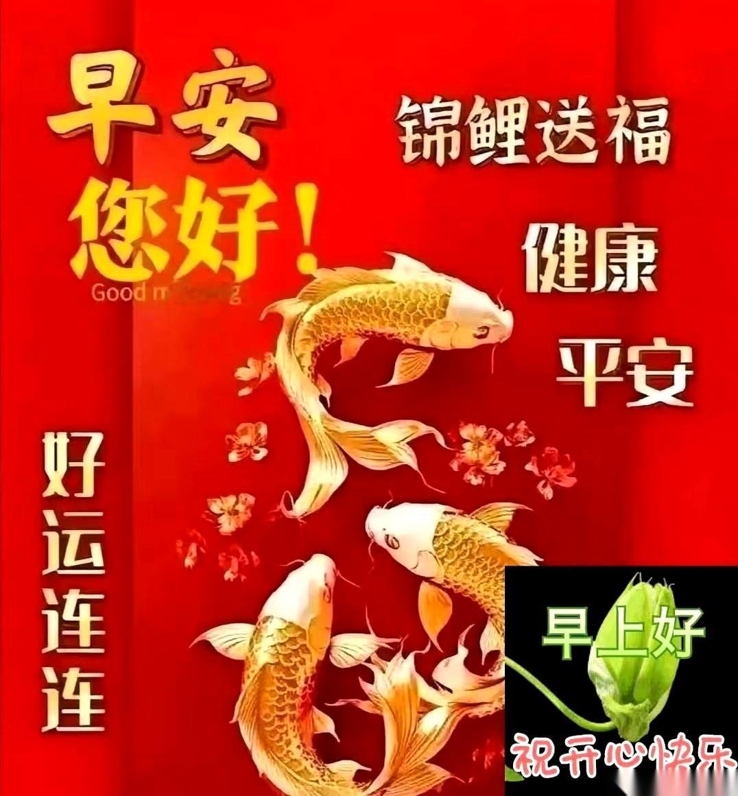 又有人给我发锦鲤了。一条金灿灿的肥鱼，配着几个大字：好运连连。好像转发一下，
