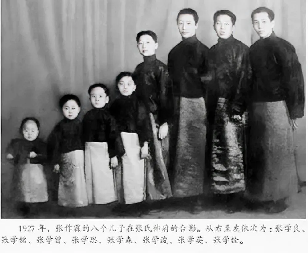 张学良1901年出生，有7个弟弟张学铭、张学曾、张学思、张学森、张学浚、张学英、