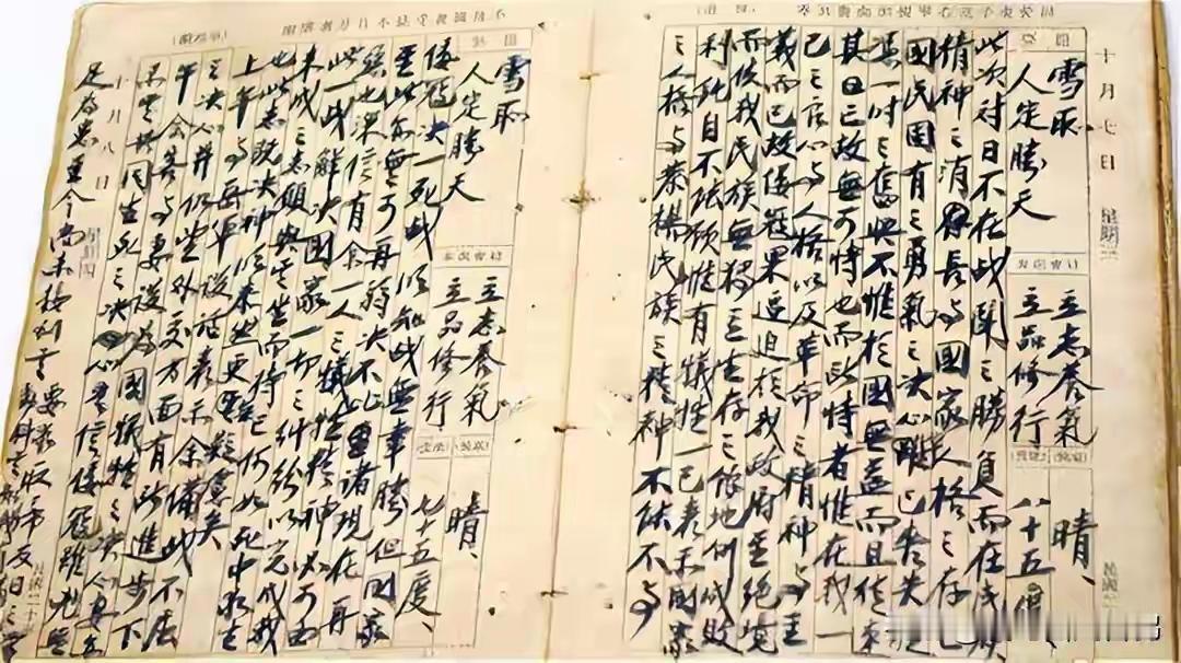 王铎：蒋介石的日记很有趣