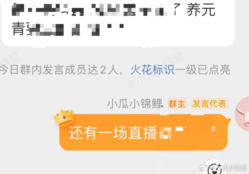 巧了啊早上刚在群里说到养元青要直播