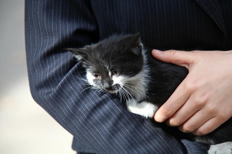 4月6日清明假期最后一天，杭州的熊女士把写作业拖拉的儿子小文送到了派出所。早上熊