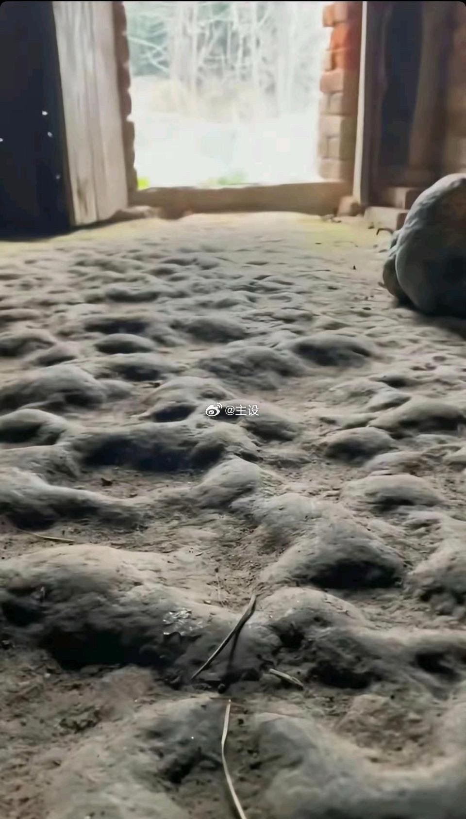 谁家的地板是这样的？？？你们见过吗
