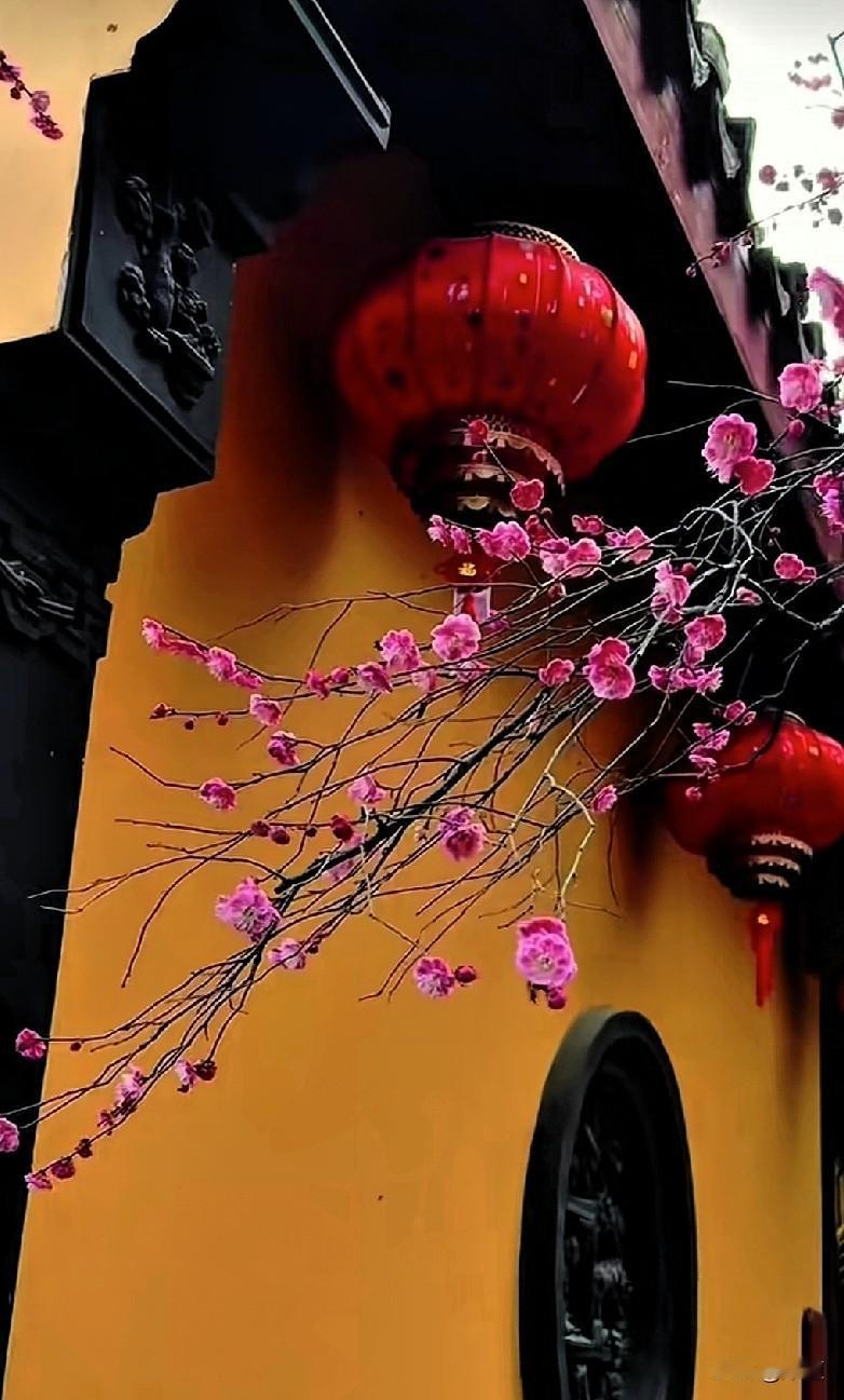 每个人都感觉自己很年轻，年轻不年轻的不是你的感觉说了算的。说了算的是镜子和别人