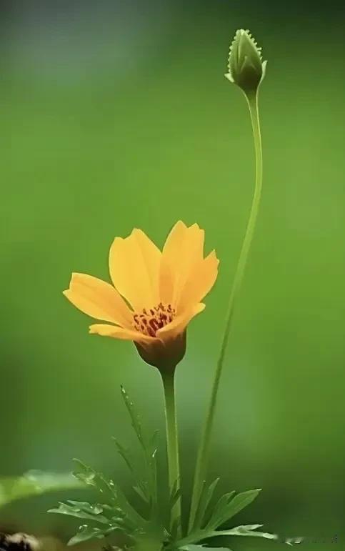 一位性学专家非常现实的话：“男人想活得长久、身体好，秘诀其实很简单：心里一直有