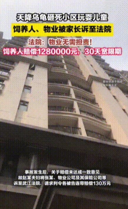 “一个小孩就值128万！”广东，夫妻带孩子小区内玩耍，不料天降乌龟，直接把孩子活