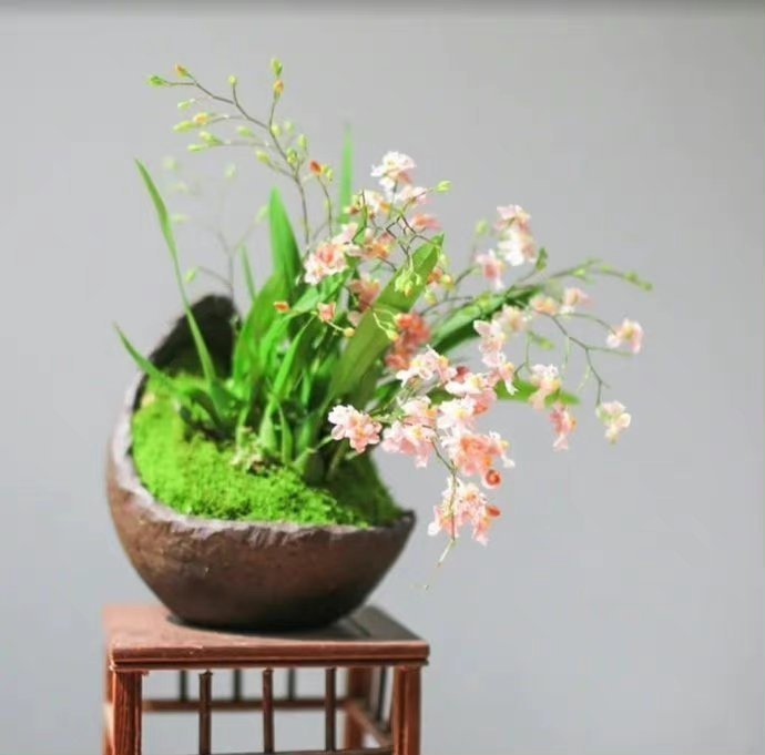 “今天飞花令｜主题【我、有】古诗词”