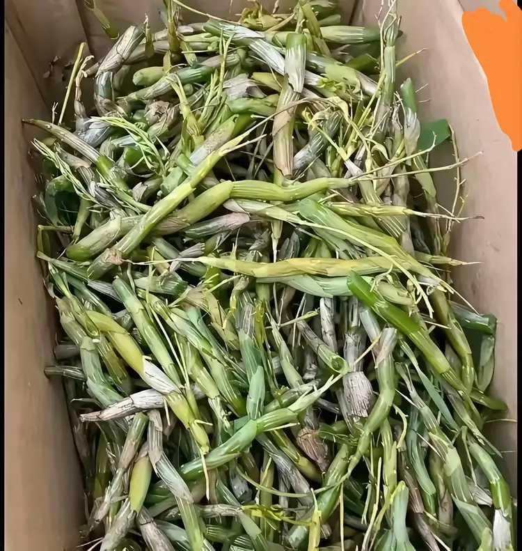 周未，一离职的同事给我快递一箱东西来。拆开一看，不认识是什么东东。同事曾经跟我