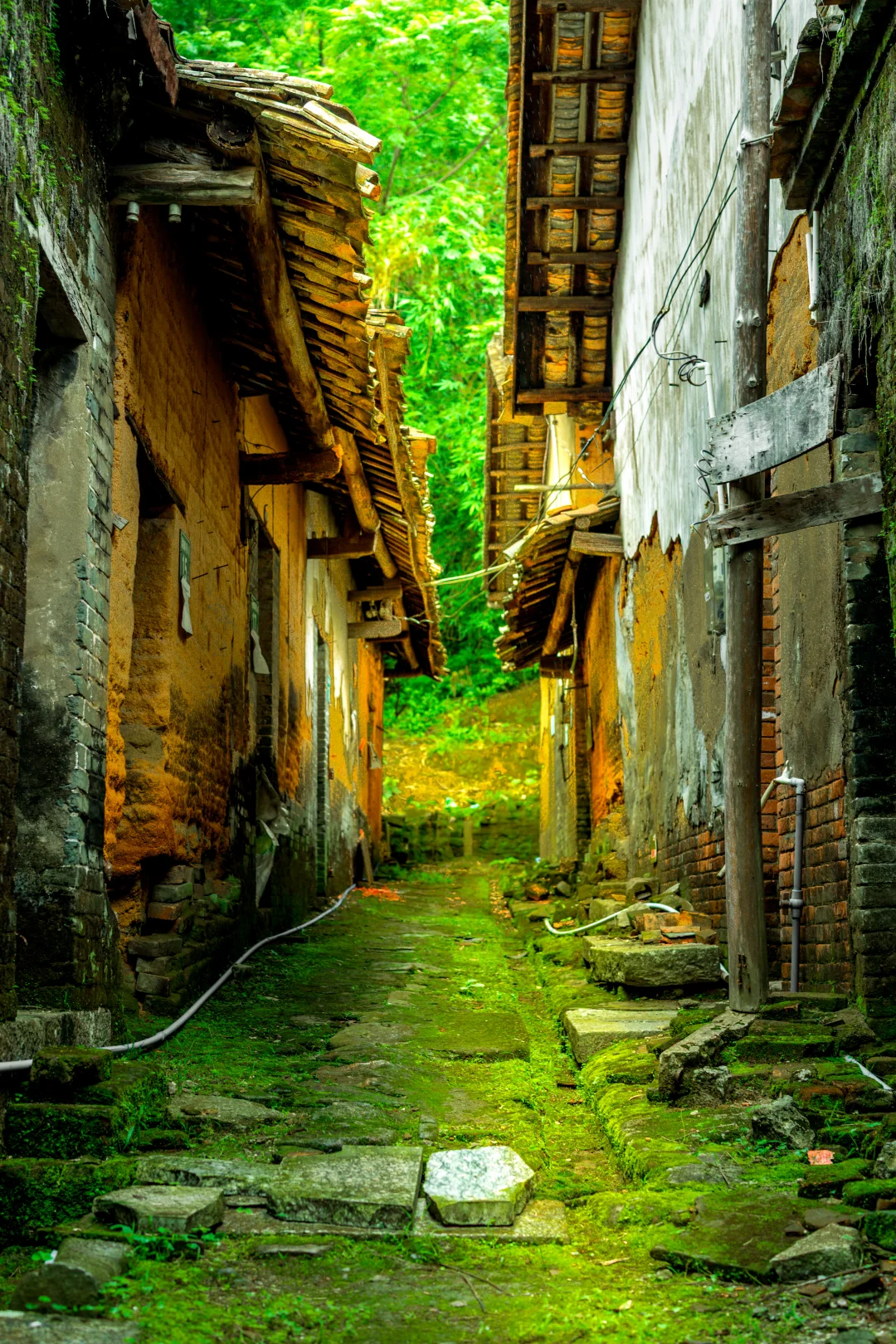 欢迎来到奘铃村