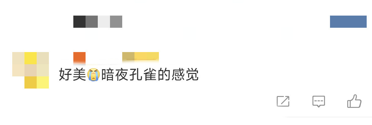 高圆圆暗夜孔雀高圆圆的祖母绿长裙造型堪称艺术品！挂脖设计展露天鹅颈，珠串如孔雀羽