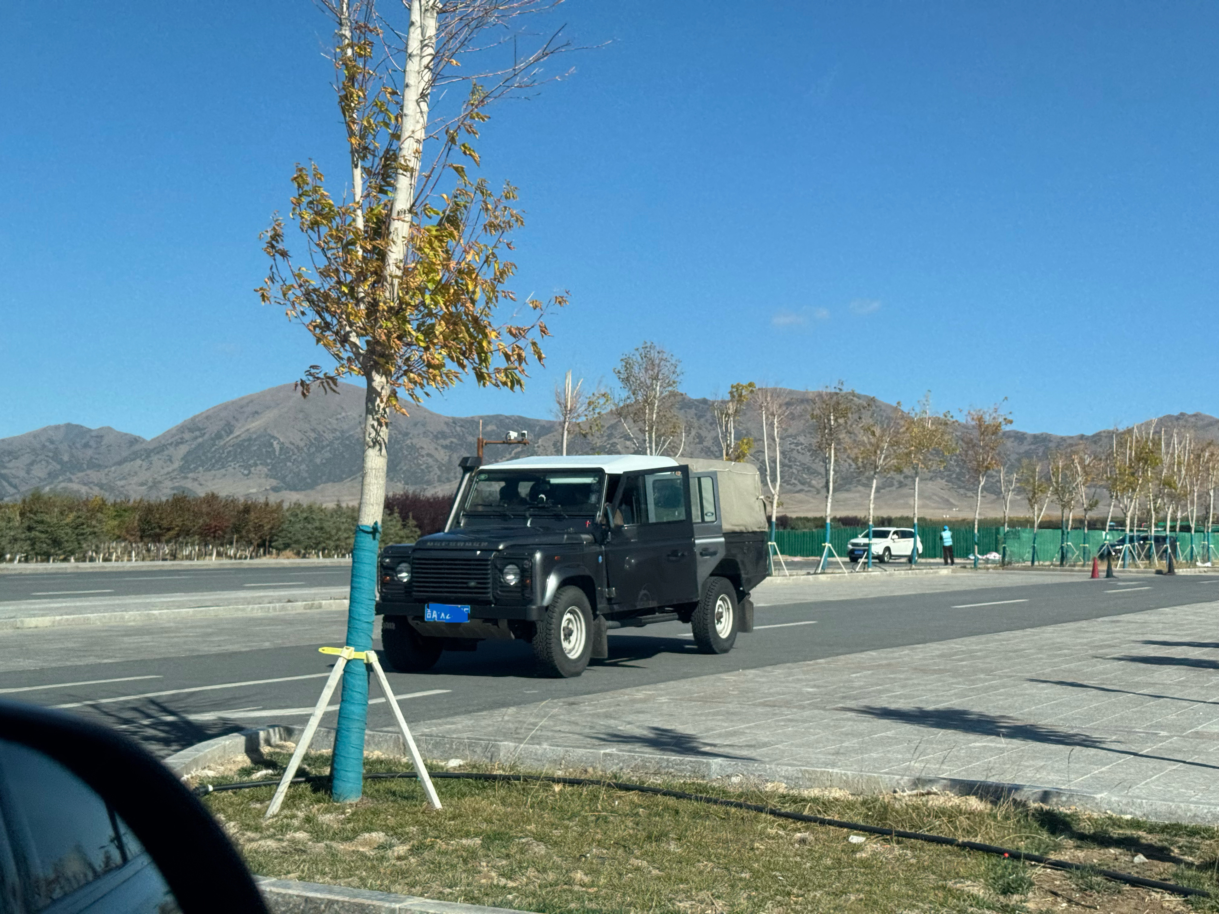 赛里木湖偶遇这绝对是大哥​​​