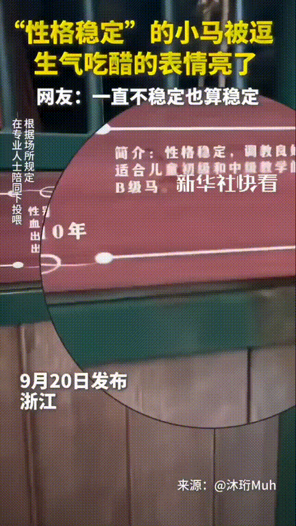 “笑不活了！”，浙江，男子到马场看到一只马的名牌上写着“性格稳定，调教良好”，男