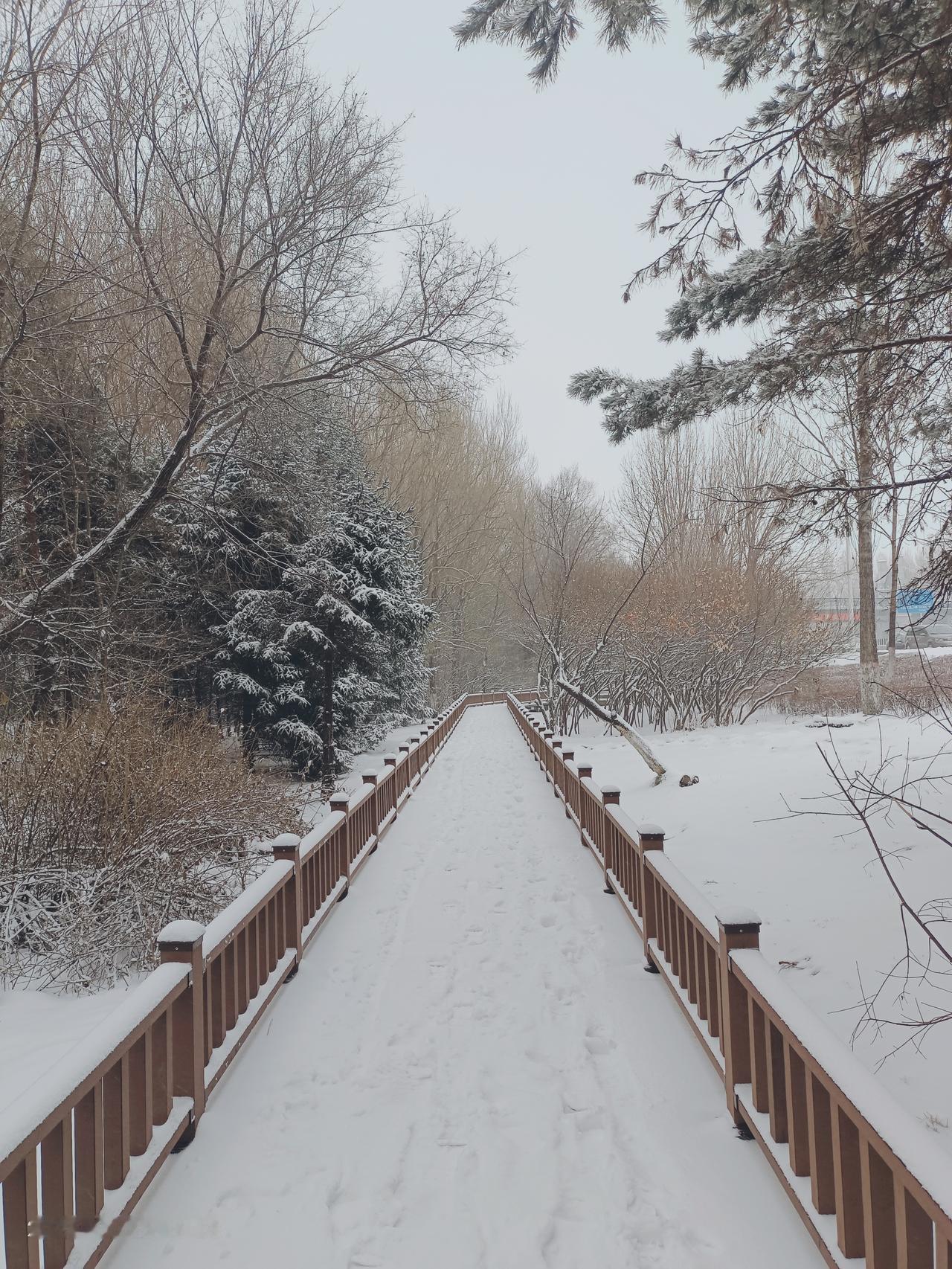 一件事，可以看见黑龙江的穷。黑龙江齐齐哈尔组织未成年人9年涉黄涉黑，得到赃款3