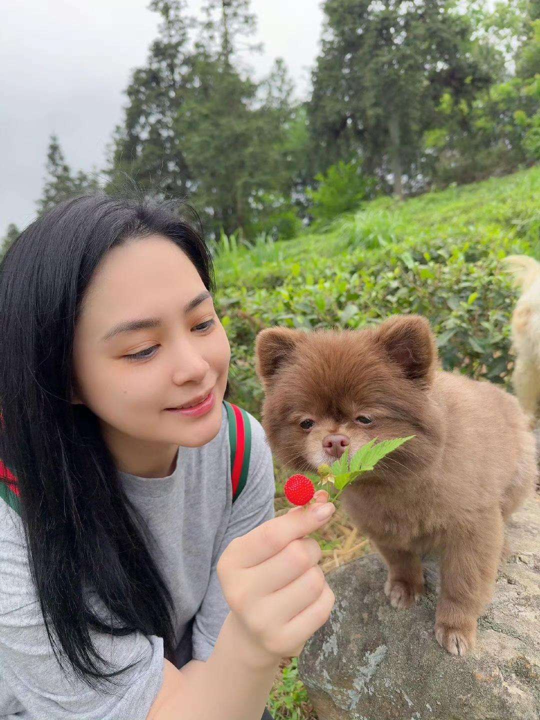 阿娇似乎已经放弃减肥了！阿娇的近照曝光，精致立体的五官青春如少女，无奈肉嘟嘟的