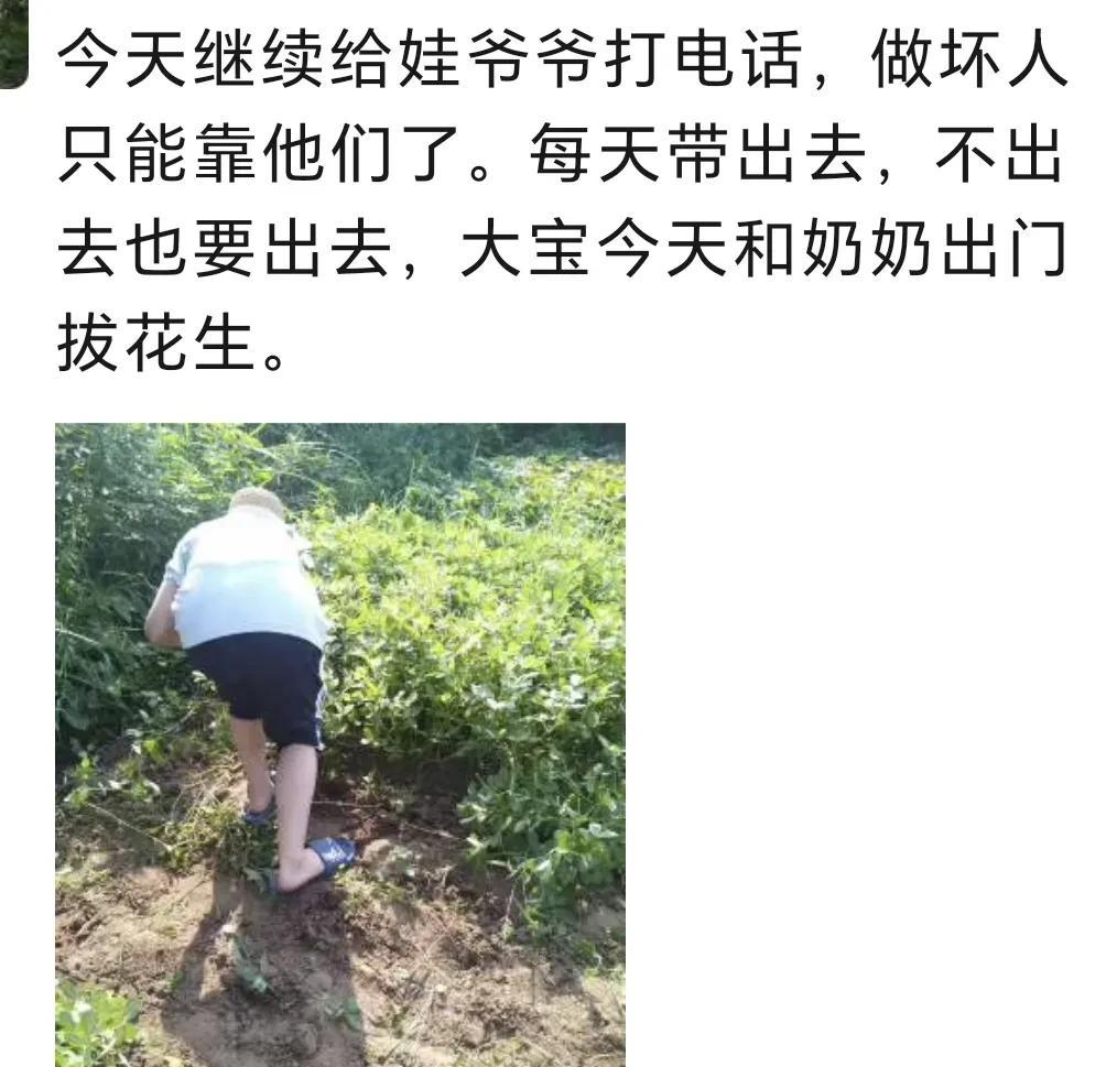 给大家看看我身边原生态的天然学霸的生活日常，一定会雷倒很多人。他是我娃从一年级