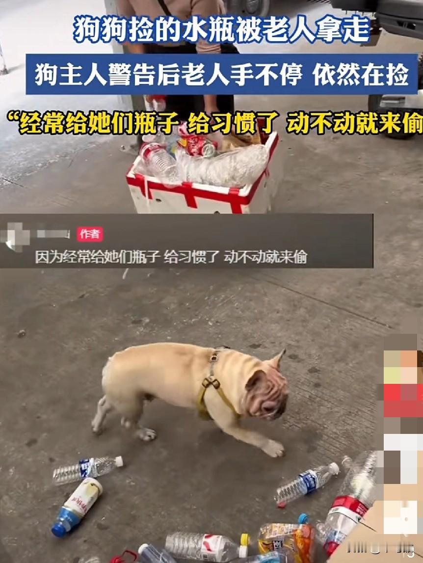 完了，广东捡瓶子的“网红狗子”小白，最近被偷家了，不少老人直接偷拿它的瓶子。