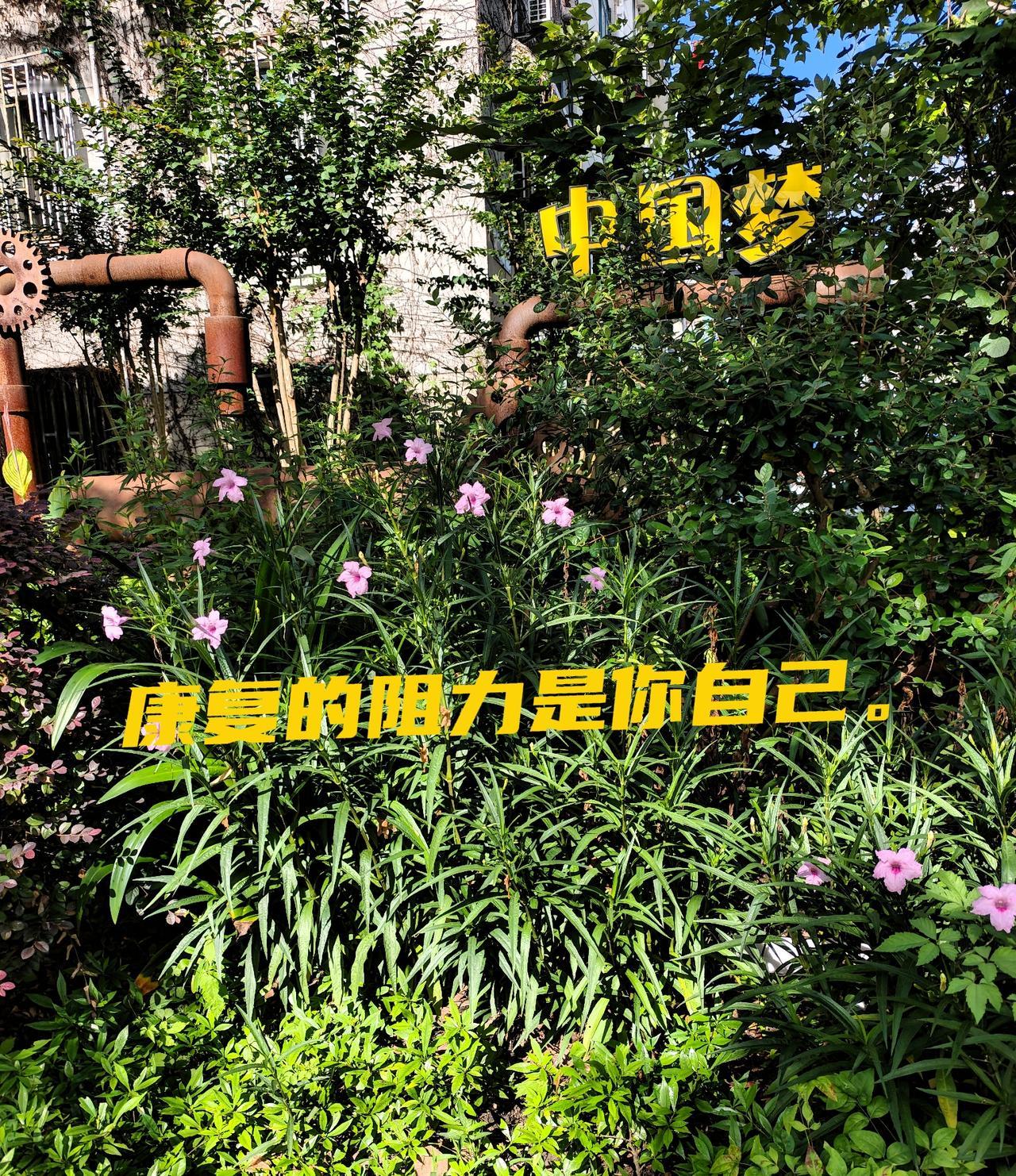 中晚期卵巢癌，康复已8年。一个即将走向终点的8旬老人。活到这个份上，我的最大体会