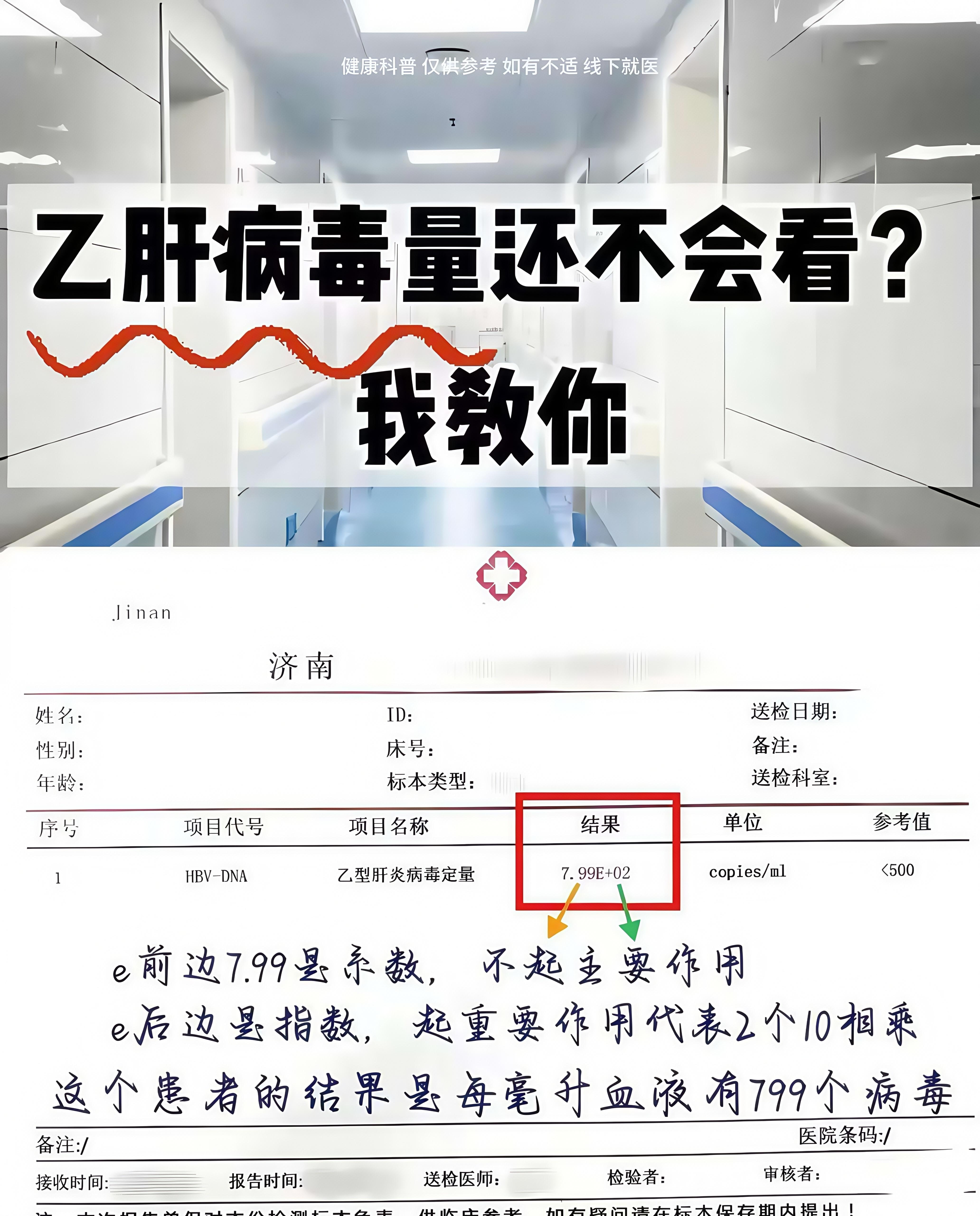 乙肝病毒量还不会看，我教你！。