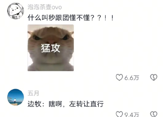 边牧：开团秒跟懂不懂​​​