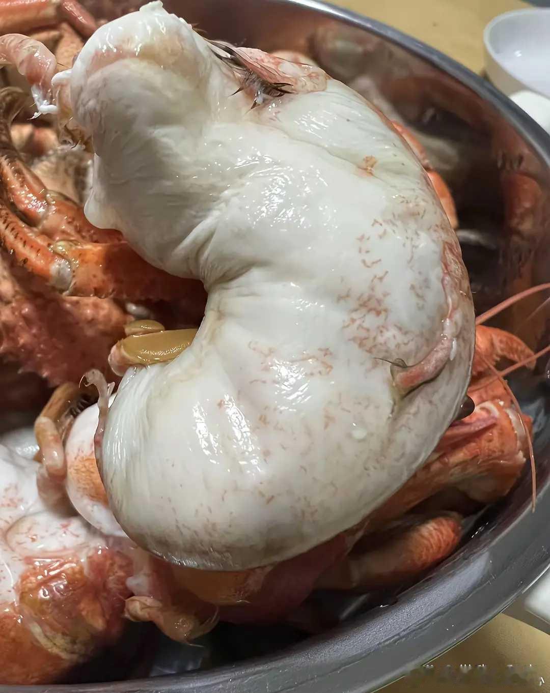 终于买到肥的了