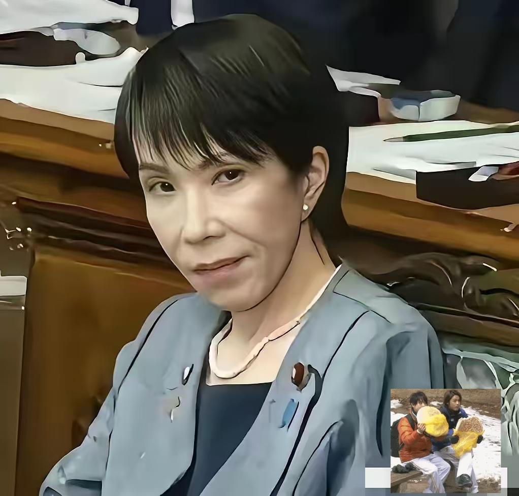 日本外交传来新消息！高市早苗的专机已经进入起飞准备阶段。就在她动身前往越南的最