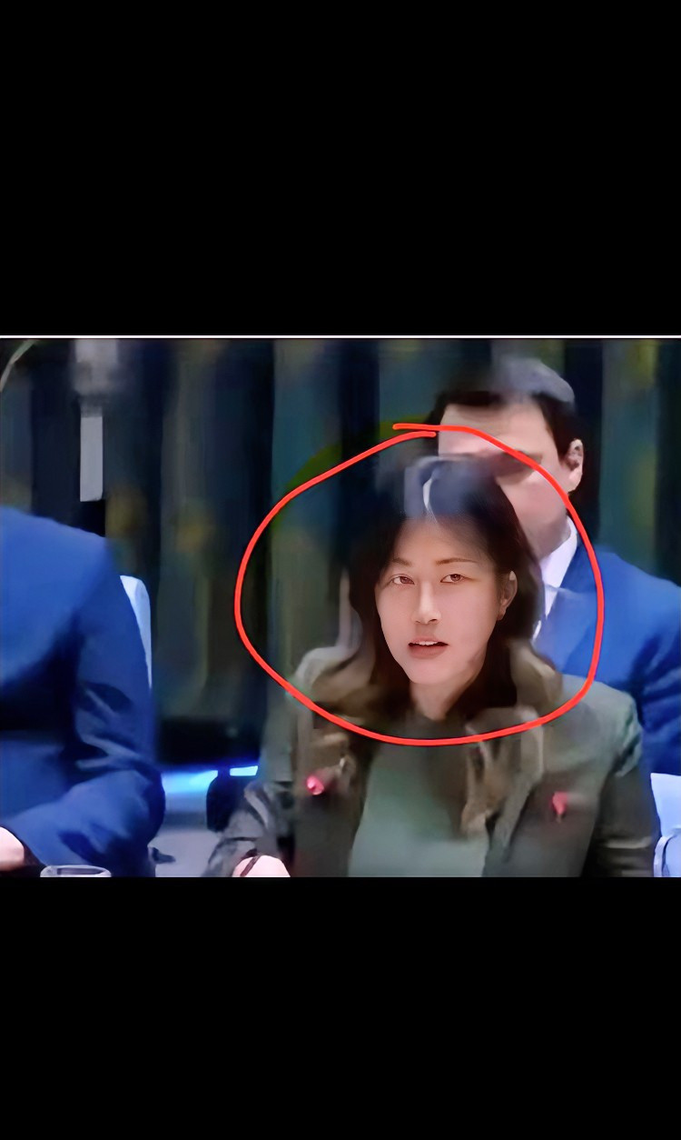 中美在联合国吵架厉害了天呐，联合国上竟然有华裔面孔对着中