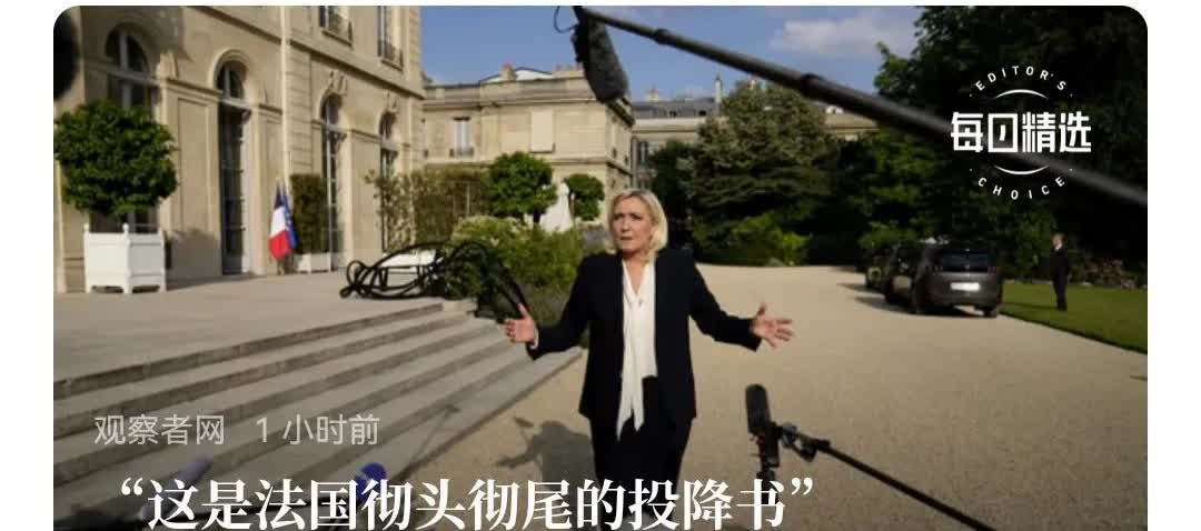 世界对法国评论很恰当，欧盟投降，也等于法国投降，法国是欧盟缔约国。五大