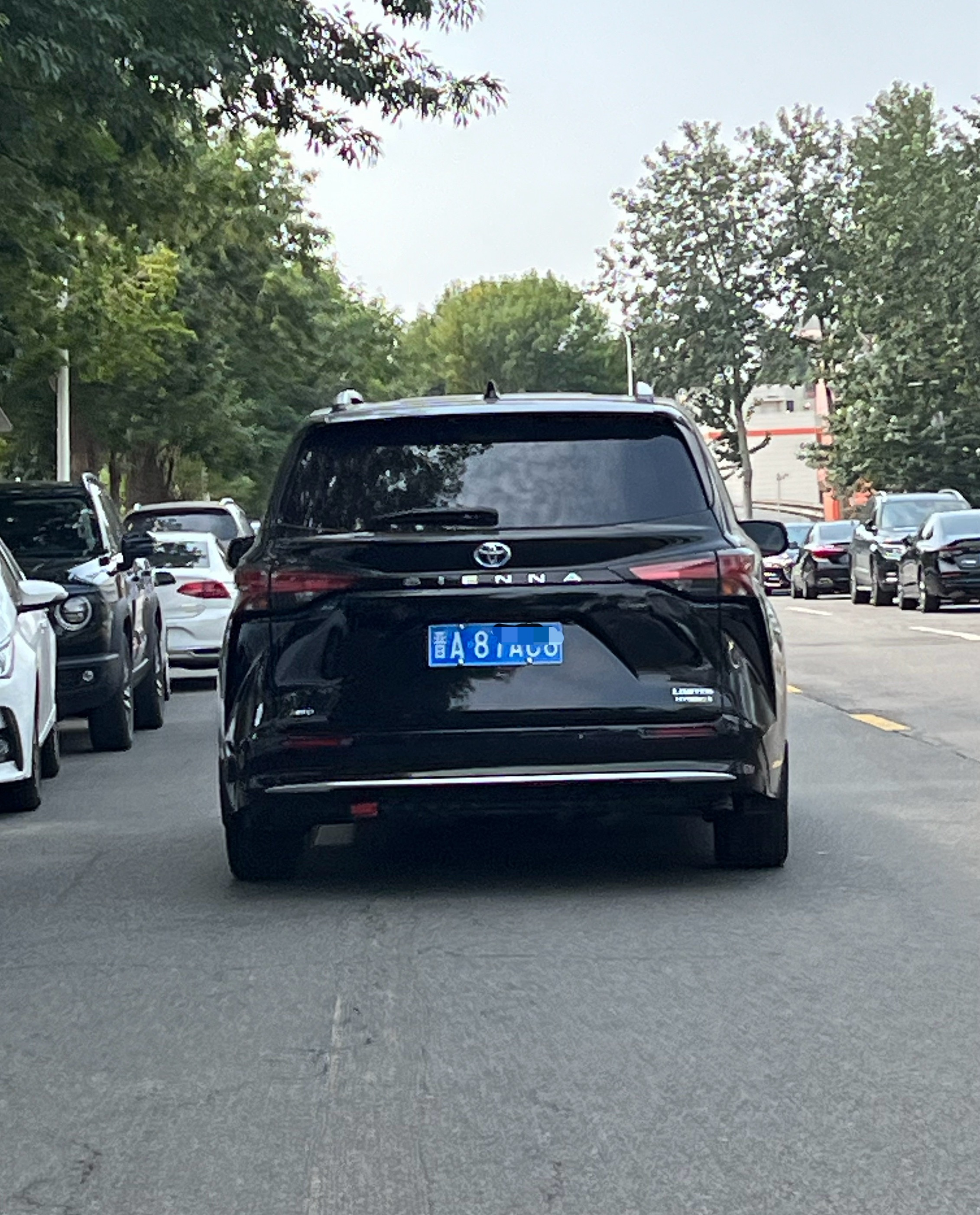 如果你在路上看到了挂后雾灯的塞纳这丰田塞纳不简单，因为这可是当年售价五六十万的平