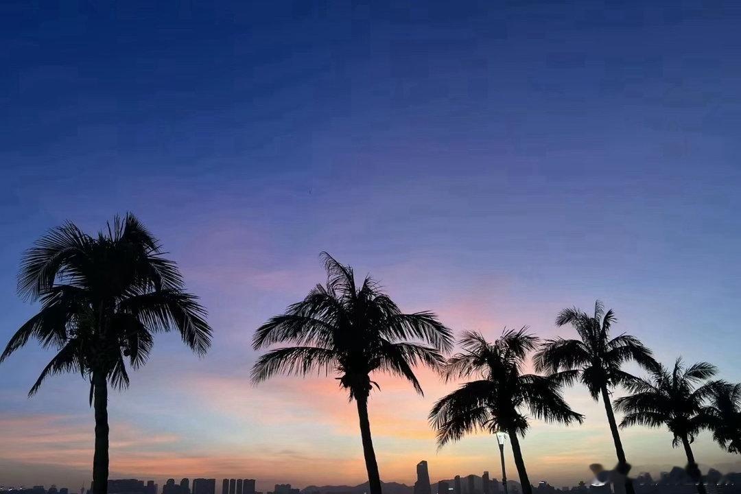 惨烈的黑周四！3700点失守，这一跌，把"科技牛"的底裤都跌出来了率先开盘的日韩
