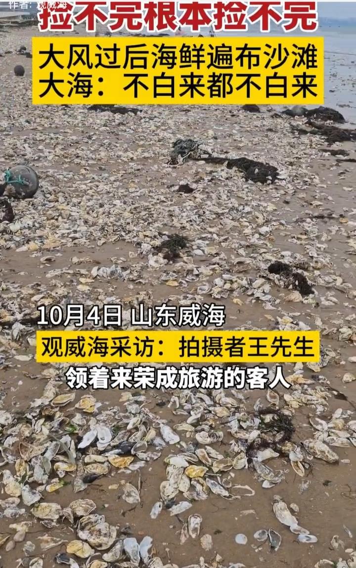 大风过后的沙滩沙滩风光沙滩风景海沙滩风景