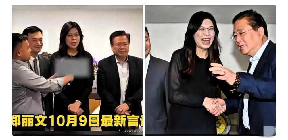 国民党党主席选举只剩9天，今天台湾商界“大佬”许舒博突然直接表态——挺郑丽文，还