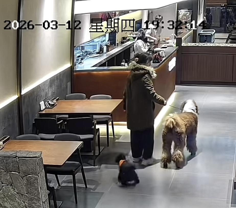开业两天的餐厅遇到牵（2只）狗的顾客好消息：老板好言相劝给请出了门坏消息：带