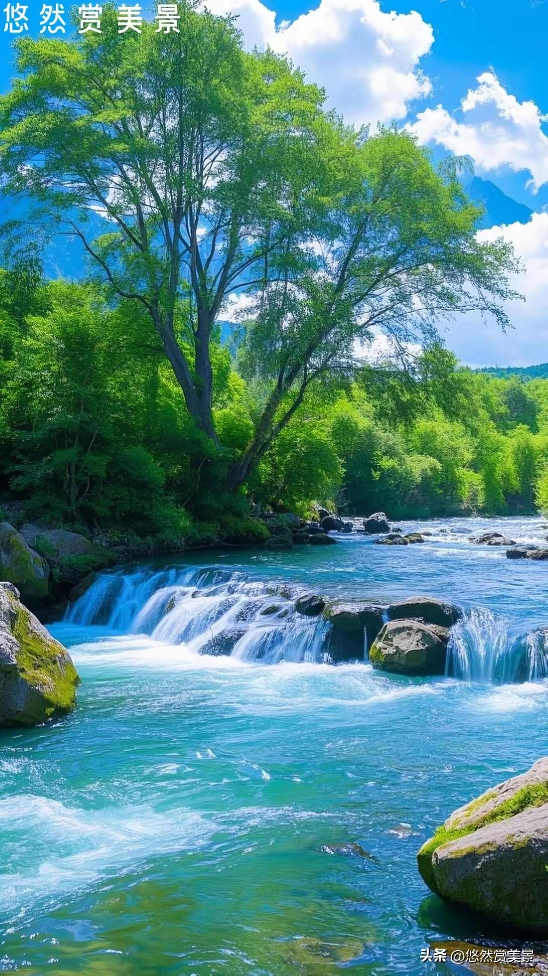 你一定要明白，人这一辈子，90%的痛，都是情绪熬出来的。你越豁达，气血越顺